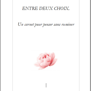 Entre deux choix - Un carnet pour penser sans ruminer