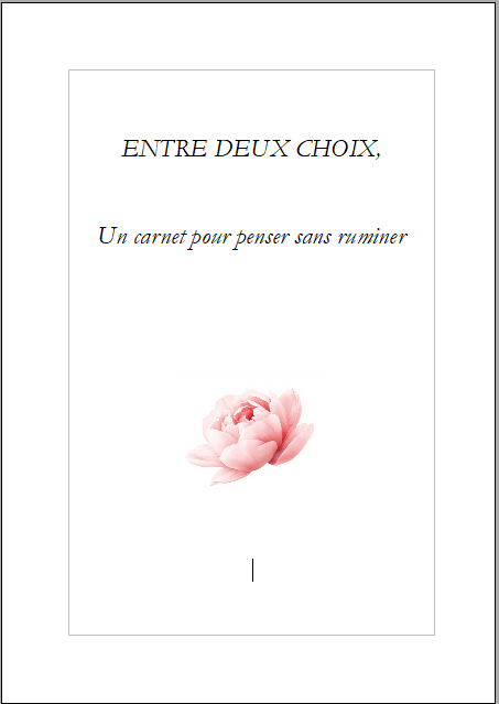 Entre deux choix - Un carnet pour penser sans ruminer